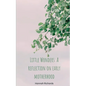 Little Wonders: A reflection on early motherhood - Paperback