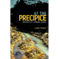 At the Precipice: New Mexico's Changing Climate - Paperback