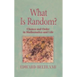 What Is Random?: Chance and Order in Mathematics and Life - Paperback