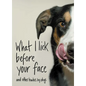 What I Lick Before Your Face: And Other Haikus by Dogs - Hardcover