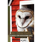 Ms. Olive Owl's School For Hooligan Cats: A Vincent Chapter Book - Paperback