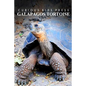 Galapagos Tortoise - Curious Kids Press: Kids book about animals and wildlife, Children's books 4-6 - Paperback