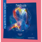 Nebula - Library Binding