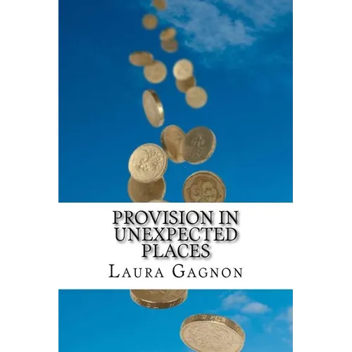 Provision in Unexpected Places - Paperback