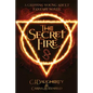 The Secret Fire - Paperback
