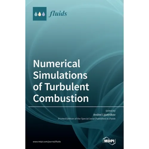 Numerical Simulations of Turbulent Combustion - Hardcover