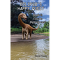 Eclipso's Happy Quest Book Two: Eau De Diplodocus? - Paperback