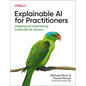 Explainable AI for Practitioners: Designing and Implementing Explainable ML Solutions - Paperback