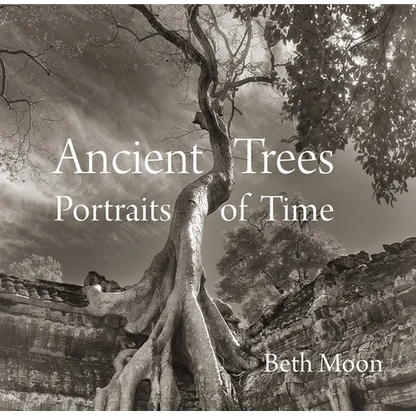 Ancient Trees: Portraits of Time - Hardcover