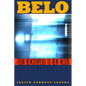 Belo: From Newspapers to New Media - Paperback