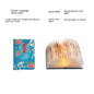Unique Folding Book Accordion Style Lamp