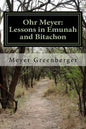Ohr Meyer: Lessons in Emunah and Bitachon - Paperback