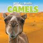 Camels - Library Binding
