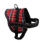 Reflective seat belt slogan dog chest back cover traction rope