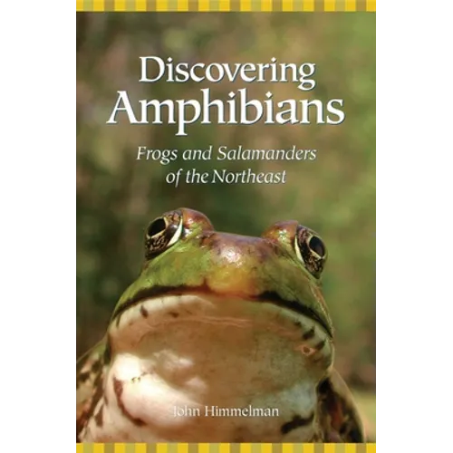 Discovering Amphibians: Frogs and Salamanders of the Northeast - Paperback