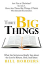 Three Big Things - Paperback