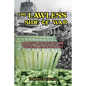 The Lawless Side of War: Making Millions on the Vietnam Black-Market - A Fictional Memoir - Paperback