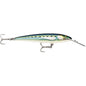 Rapala CountDown Magnum Elite 145 - 5-3/4" - Armored Sardine