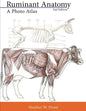 Ruminant Anatomy: A Photo Atlas - Paperback