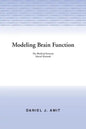 Modelling Brain Function: The World of Attractor Neural Networks - Paperback