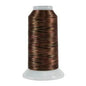 5162 Cinnamon Twist Fantastico Variegated Polyester Thread