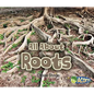 All about Roots - Paperback