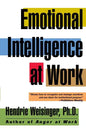Emotional Intelligence at Work - Paperback