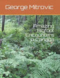 Amazing Bigfoot Encounters in Canada - Paperback