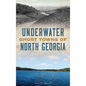 Underwater Ghost Towns of North Georgia - Hardcover