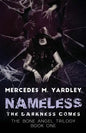 Nameless: The Darkness Comes - Paperback