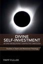 Divine Self-Investment: An Open and Relational Constructive Christology - Paperback