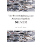 The Most Undervalued Asset on Earth Is Silver - Paperback
