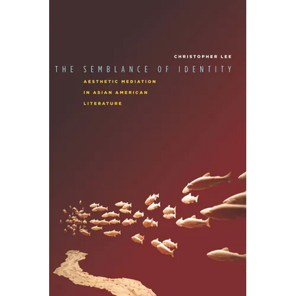 The Semblance of Identity: Aesthetic Mediation in Asian American Literature - Hardcover