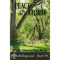 Peace in the Storm - Paperback