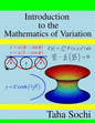 Introduction to the Mathematics of Variation - Paperback