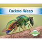 Cuckoo Wasp - Library Binding