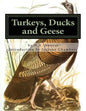 Turkeys, Ducks and Geese: Breeding, Hatching and Rearing For Pleasure or Profit - Paperback