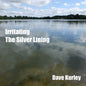 Irritating the Silver Lining - Paperback