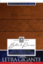 Santa Biblia de Promesas Reina Valera 1960 / Letra Gigante - 13 Puntos / Piel Especial Con Cierre / Café // Spanish Promise Bible Rvr 1960 / Giant Pri - Imitation Leather