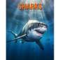 Sharks: Fun Facts Book for Kids with Amazing Photos - Paperback