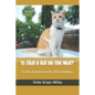 Is That A Rat On The Mat?: Teaching Beginning Readers (Homeschooling) - Paperback