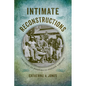 Intimate Reconstructions: Children in Postemancipation Virginia - Hardcover