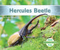Hercules Beetle - Library Binding