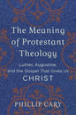 Meaning of Protestant Theology - Paperback