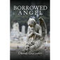Borrowed Angel - Paperback
