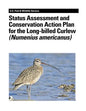 Status Assessment and Conservation Action Plan for the Long-billed Curlew (Numenius americanus) - Paperback