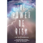 The Power of Risk: How Intelligent Choices Will Make You More Successful--A Step-by-Step Guide - Paperback