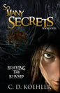 So Many Secrets: Braving the Bunyip Book Four - Paperback
