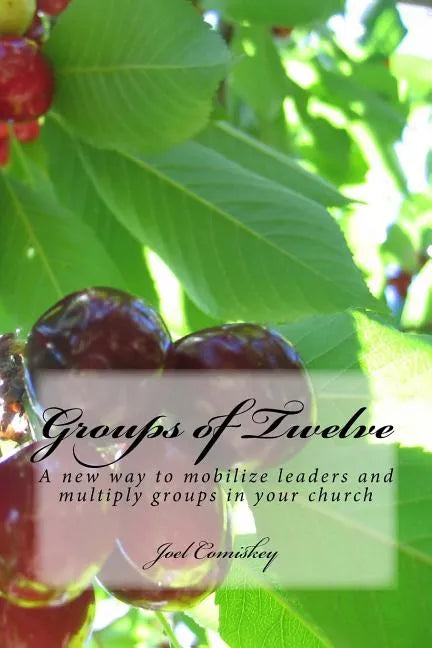 Groups of Twelve: A new way to mobilize leaders and multiply groups in your chur - Paperback
