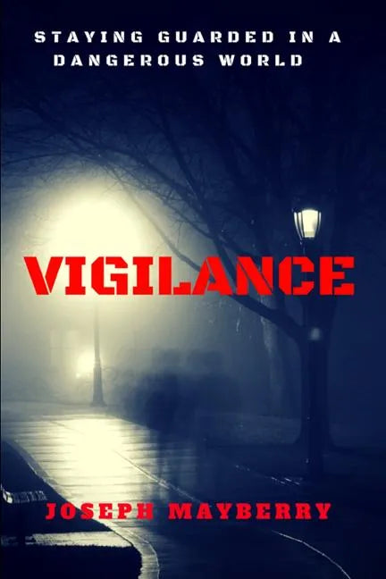 Vigilance: Staying Guarded in a Dangerous World - Paperback